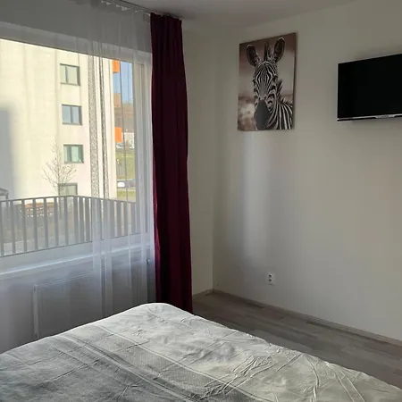 Spacious 2br With Balcony In - Comfort & Style Διαμέρισμα Πράγα